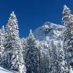 Rilano Resort Steinplatte 4* Waidring