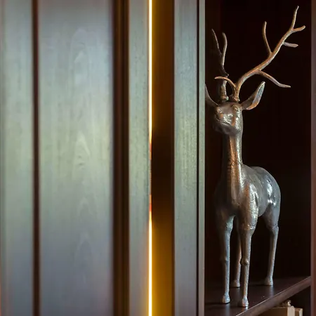 Kuhotel By Rilano 4* 瓦德林