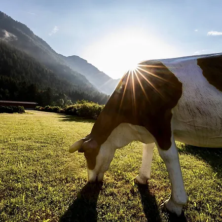 Kuhotel By Rilano Waidring