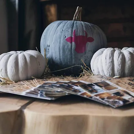 Elaya Steinplatte, Trademark By Wyndham מלון