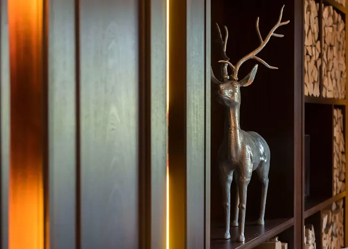 Elaya Steinplatte, Trademark By Wyndham 4* Waidring