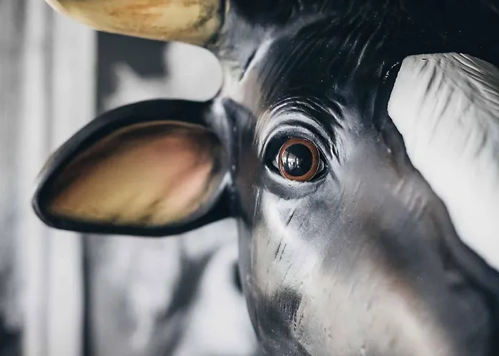 Elaya Steinplatte, Trademark By Wyndham מלון