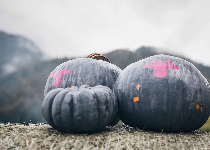 Elaya Steinplatte, Trademark By Wyndham