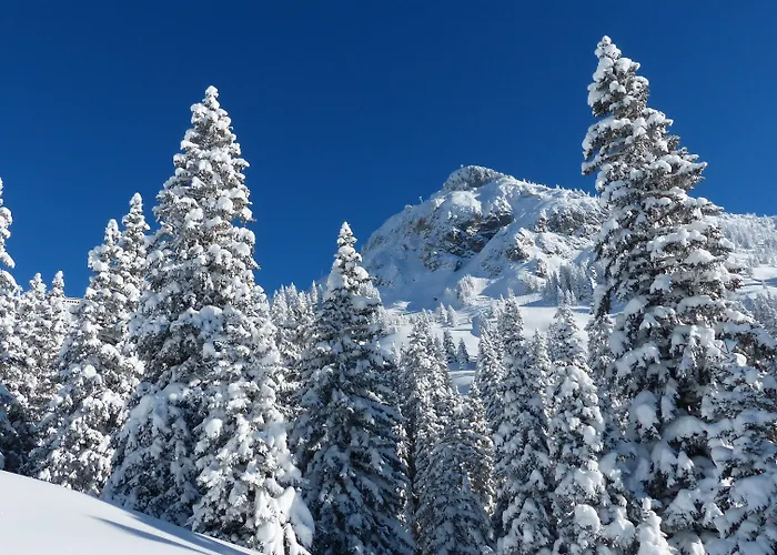 Elaya Steinplatte, Trademark By Wyndham 4* Waidring